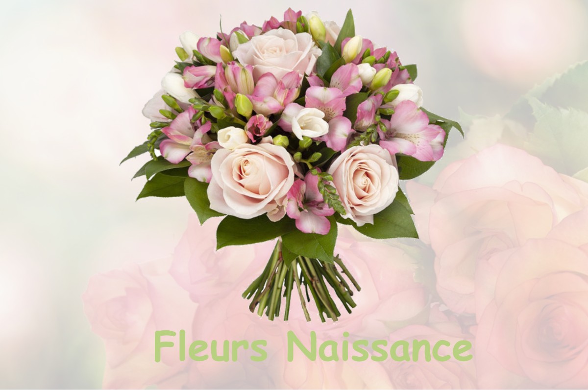 fleurs naissance GUSSAINVILLE