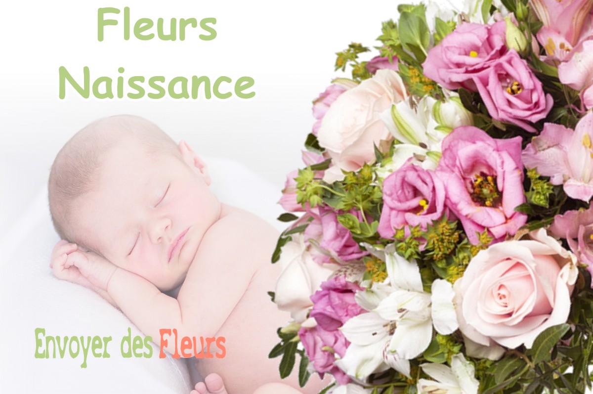 lIVRAISON FLEURS NAISSANCE à GUSSAINVILLE